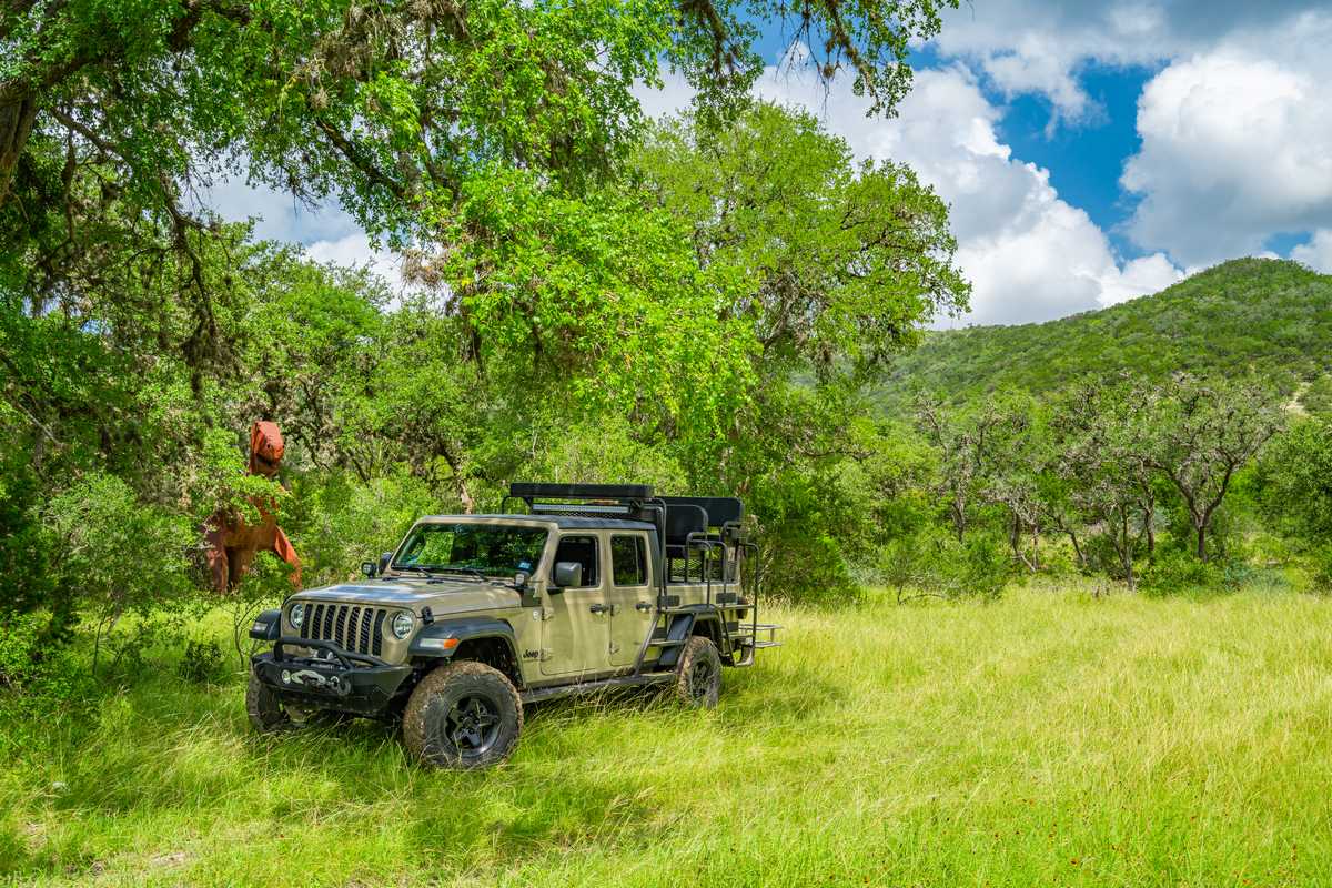 Hill Country Dinosaur Hunting Hill Country Dinosaur Hunting