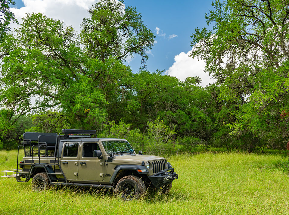 Hunt Texas Whitetail Deer